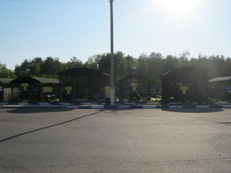 Photo of Мини-зоопарк на трассе М-10, Коломно