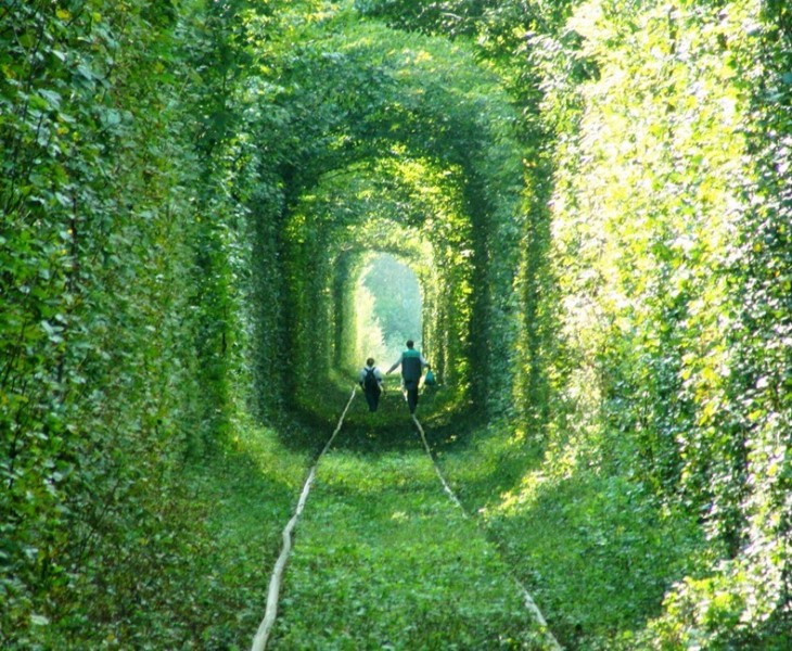 Photo of Тоннель любви на Украине