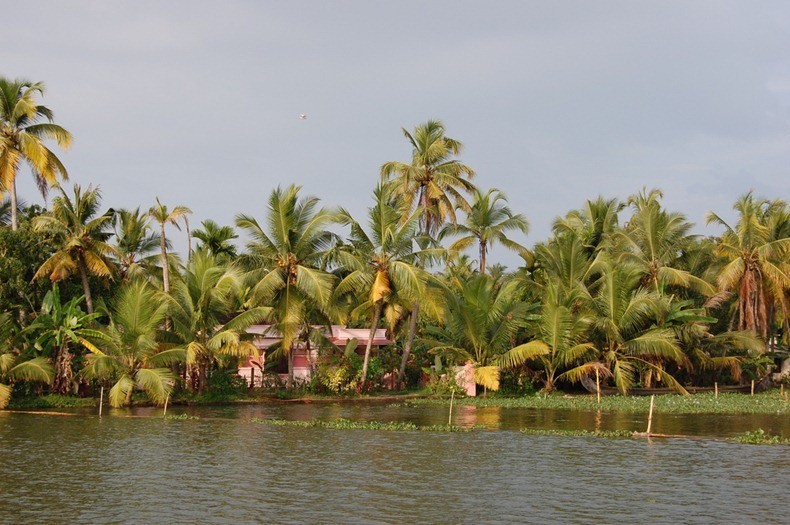 Photo of Заводи штата Керала, Индия