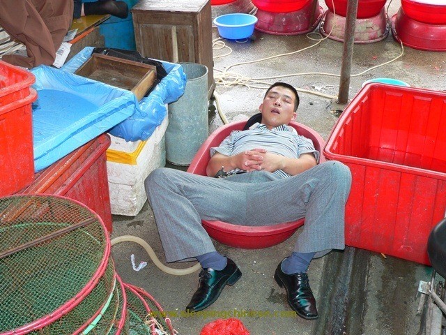 Photo of Не будите спящего китайца