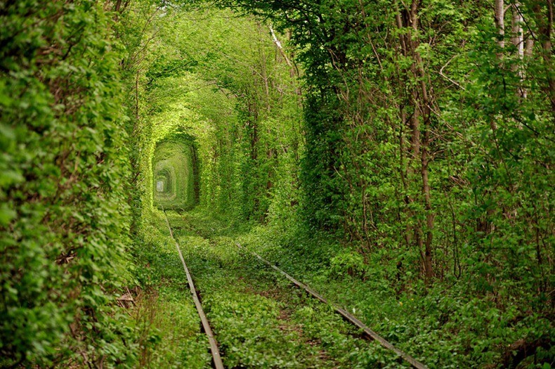 Photo of Тоннель любви на Украине