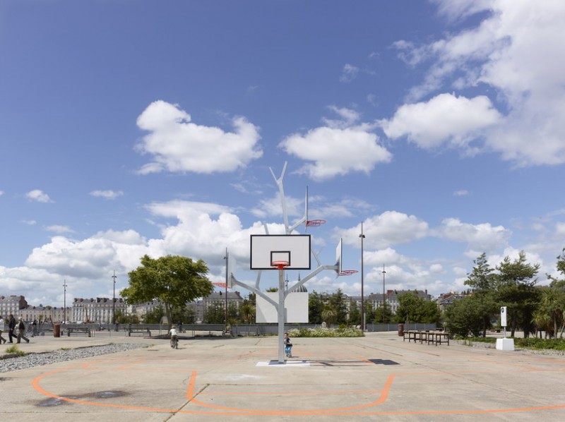 Photo of Баскетбольное дерево