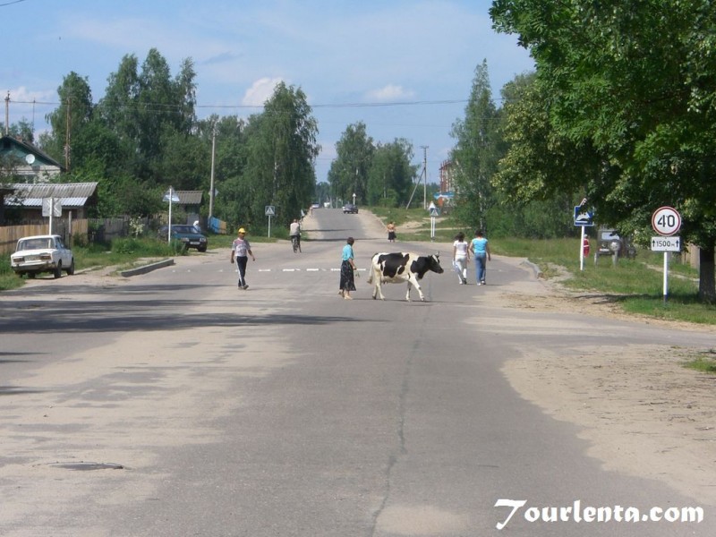 Photo of Смоленская область, 17 фотографий.
